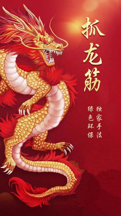 杭州专业抓龙筋